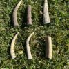 Masticativi per cani in palco di cervo